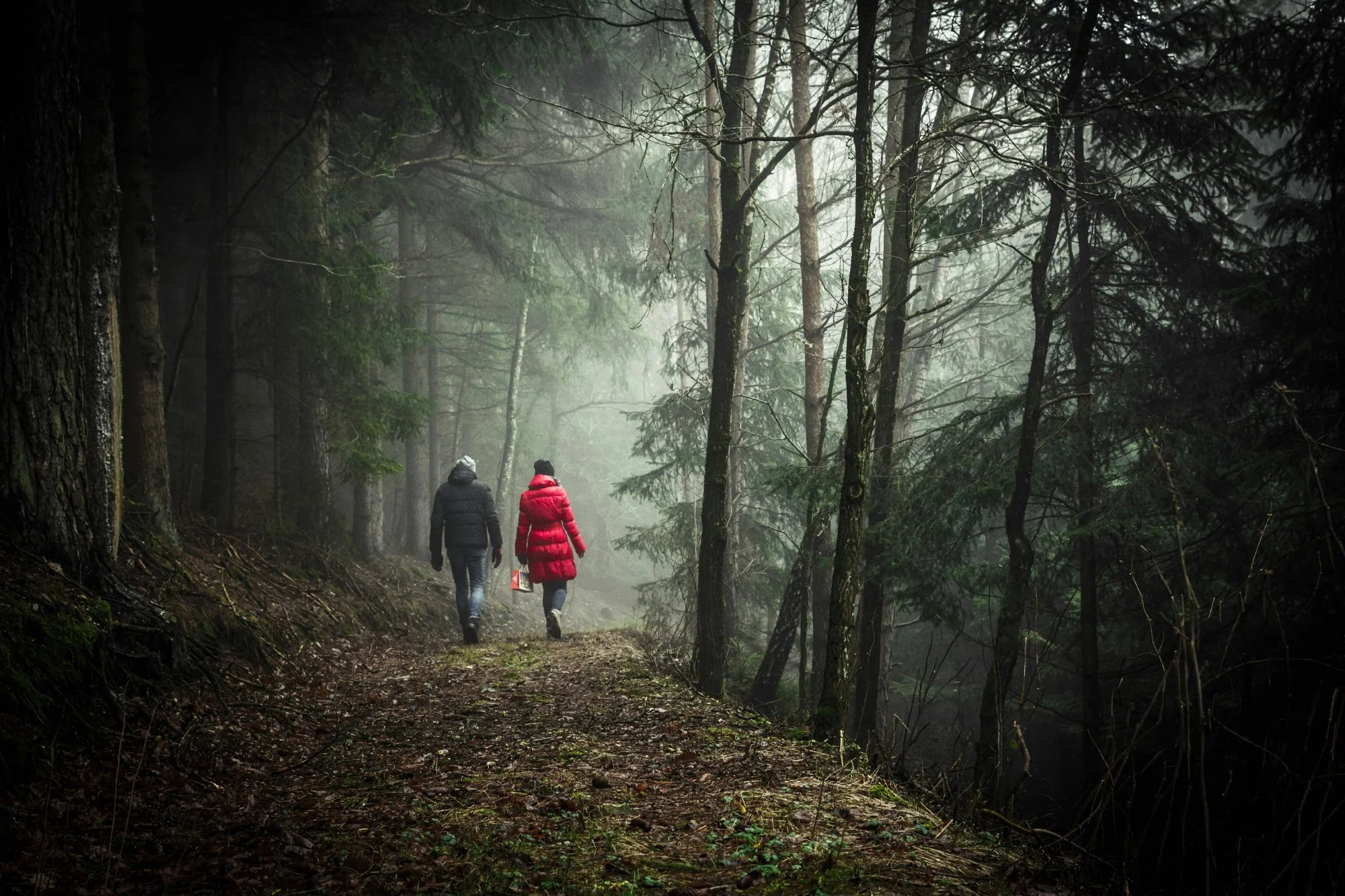 Two people walking side by side along a misty forest path